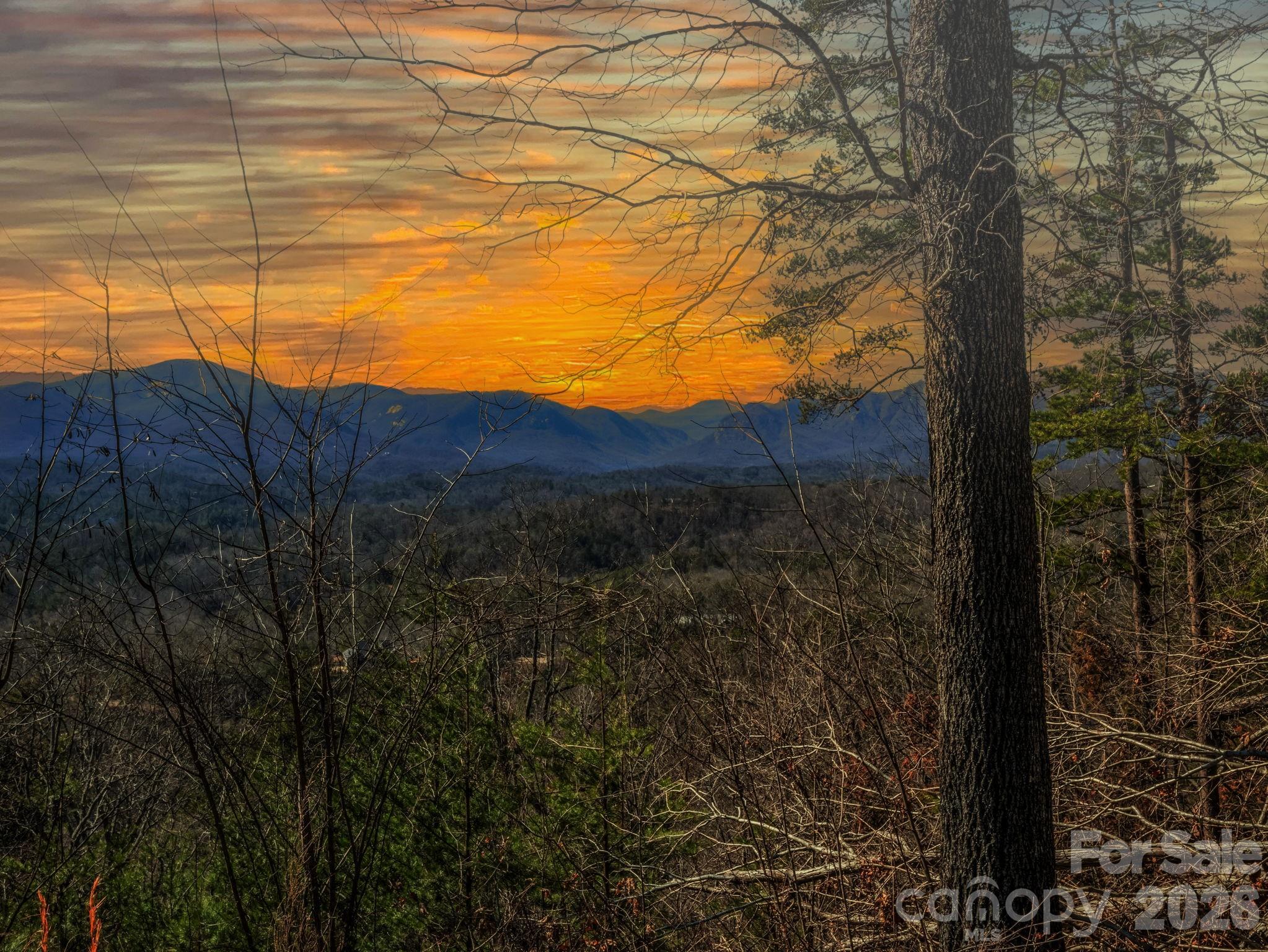 Vista at Bills Mountain - Land