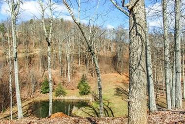 Vista at Bills Mountain - Land