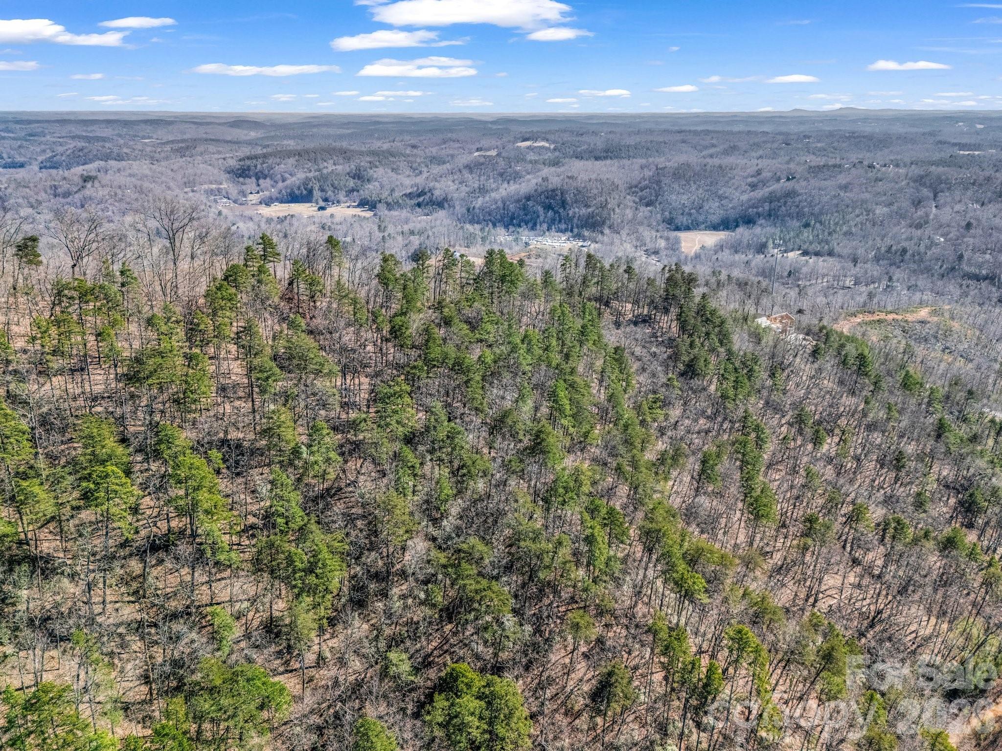 Vista at Bills Mountain - Land