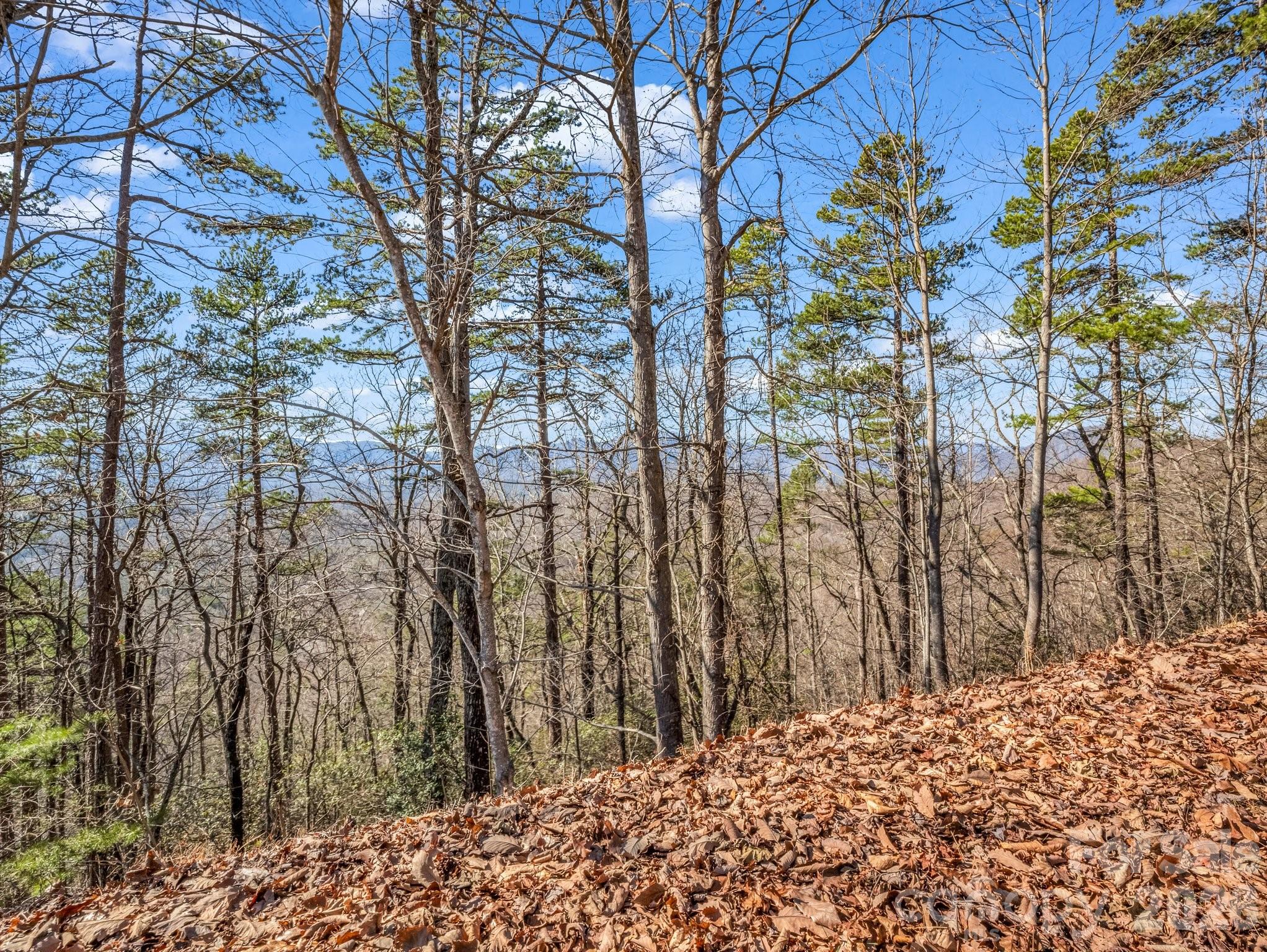 Vista at Bills Mountain - Land