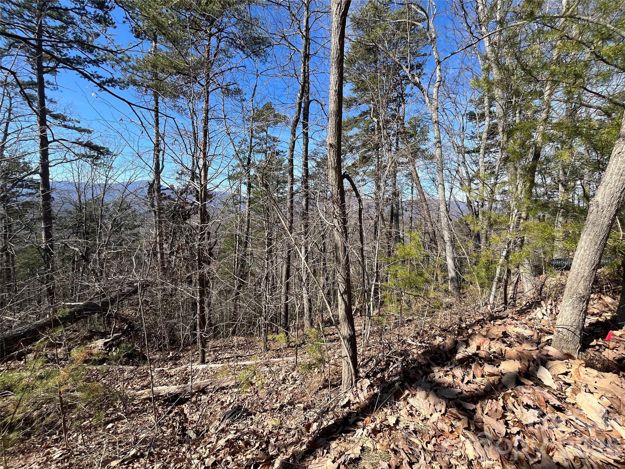 Vista at Bills Mountain - Land