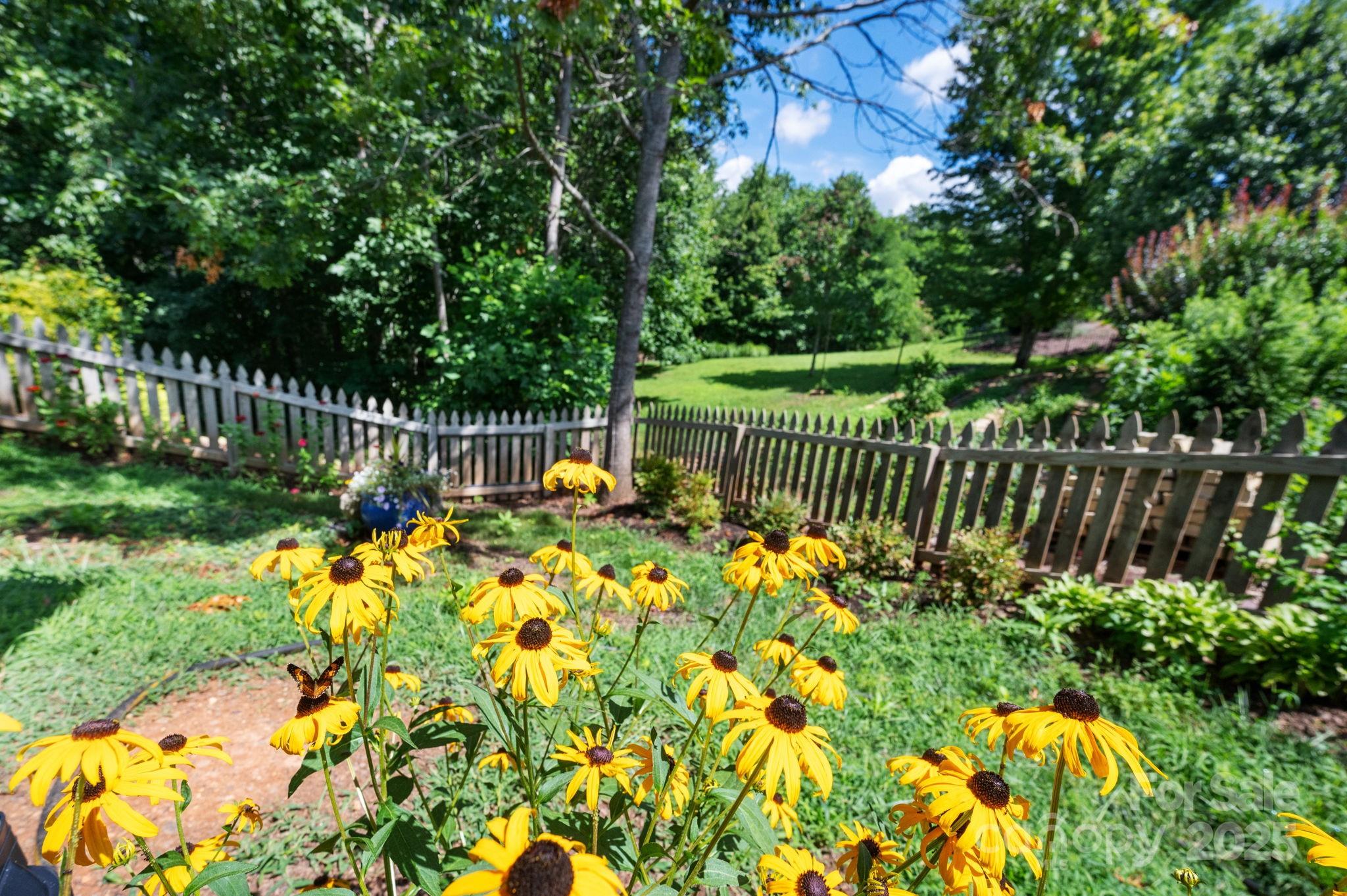 Reems Creek Village - Residential