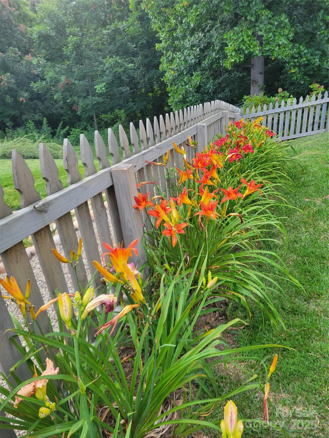 Reems Creek Village - Residential