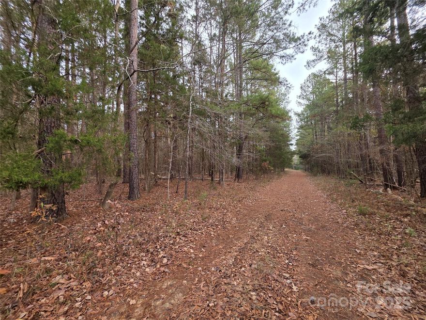 Are you ready to build your dream home? Must see this residential 1.5 acre lot located on the north side of town in sought after Lancaster, SC. Enjoy the quiet charm of country living while being only minutes from USCL, downtown Lancaster, local restaurants, shopping, and medical care. Easy access to Hwy 521. Lot is wooded and buyer would need to apply for septic permit, property will need an Engineered Drip System. Please note lot fronts on Kyrie Lane which is county maintained. Lynn Circle is not a maintained road. Bring your home plans, your builder, your dreams, and make this lovely piece of land your own! Call me or your favorite Realtor today to schedule a visit and see all the possibilities waiting for you. Please schedule appointments through showing time before visiting property. Call Betsy Martinez before submitting an offer 704-840-8476.