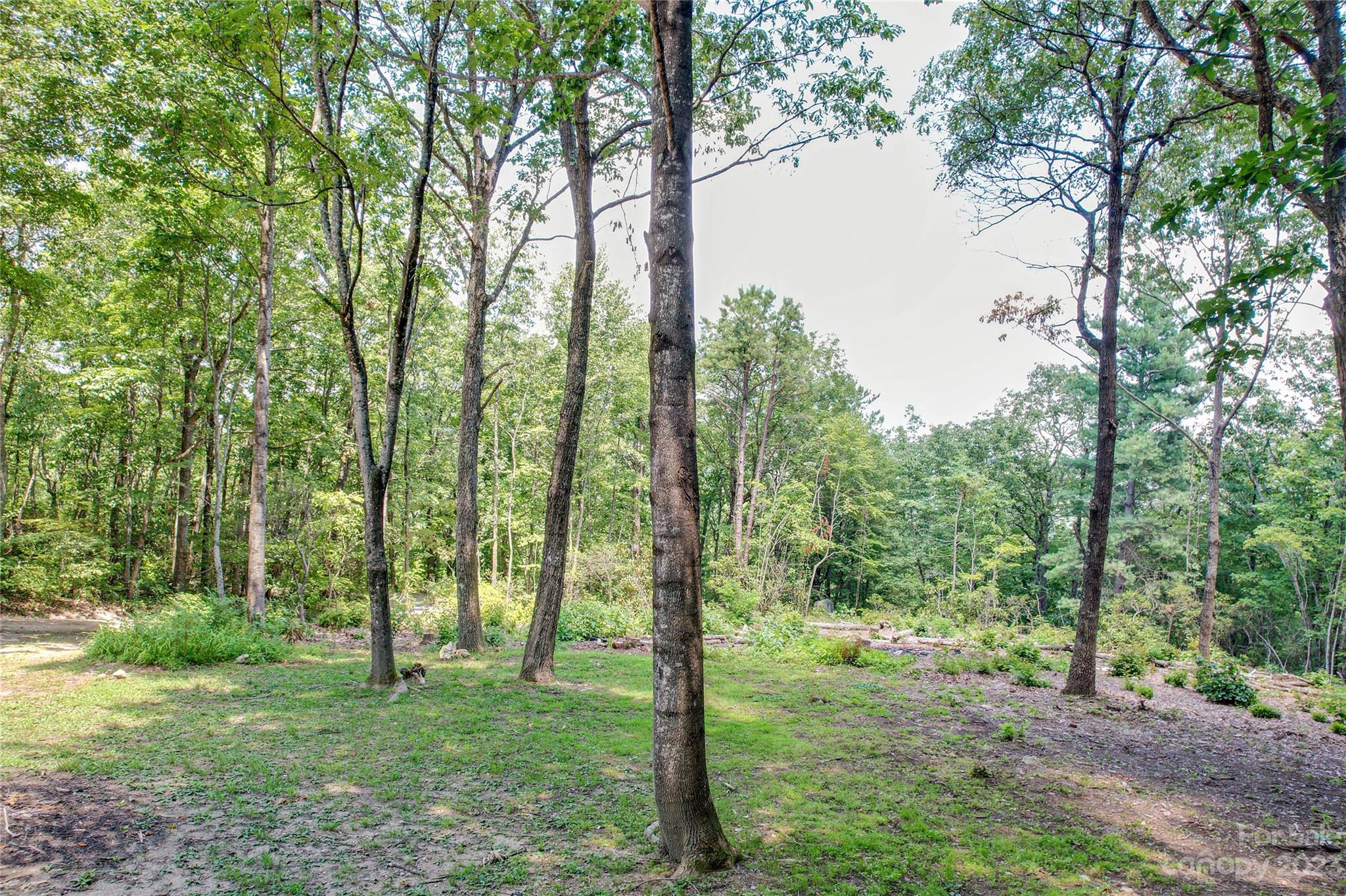 Serendipity - Residential