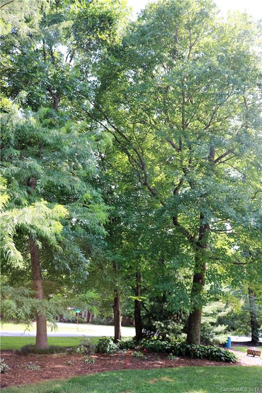 Magnolia Springs - Residential