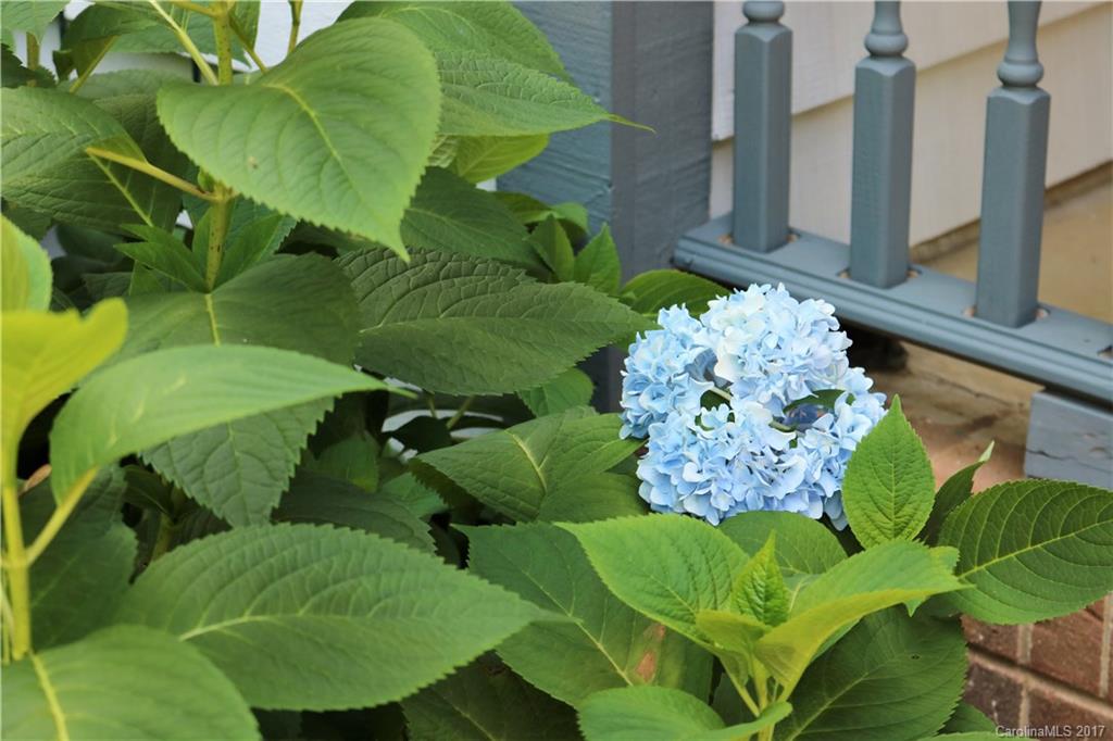 Magnolia Springs - Residential