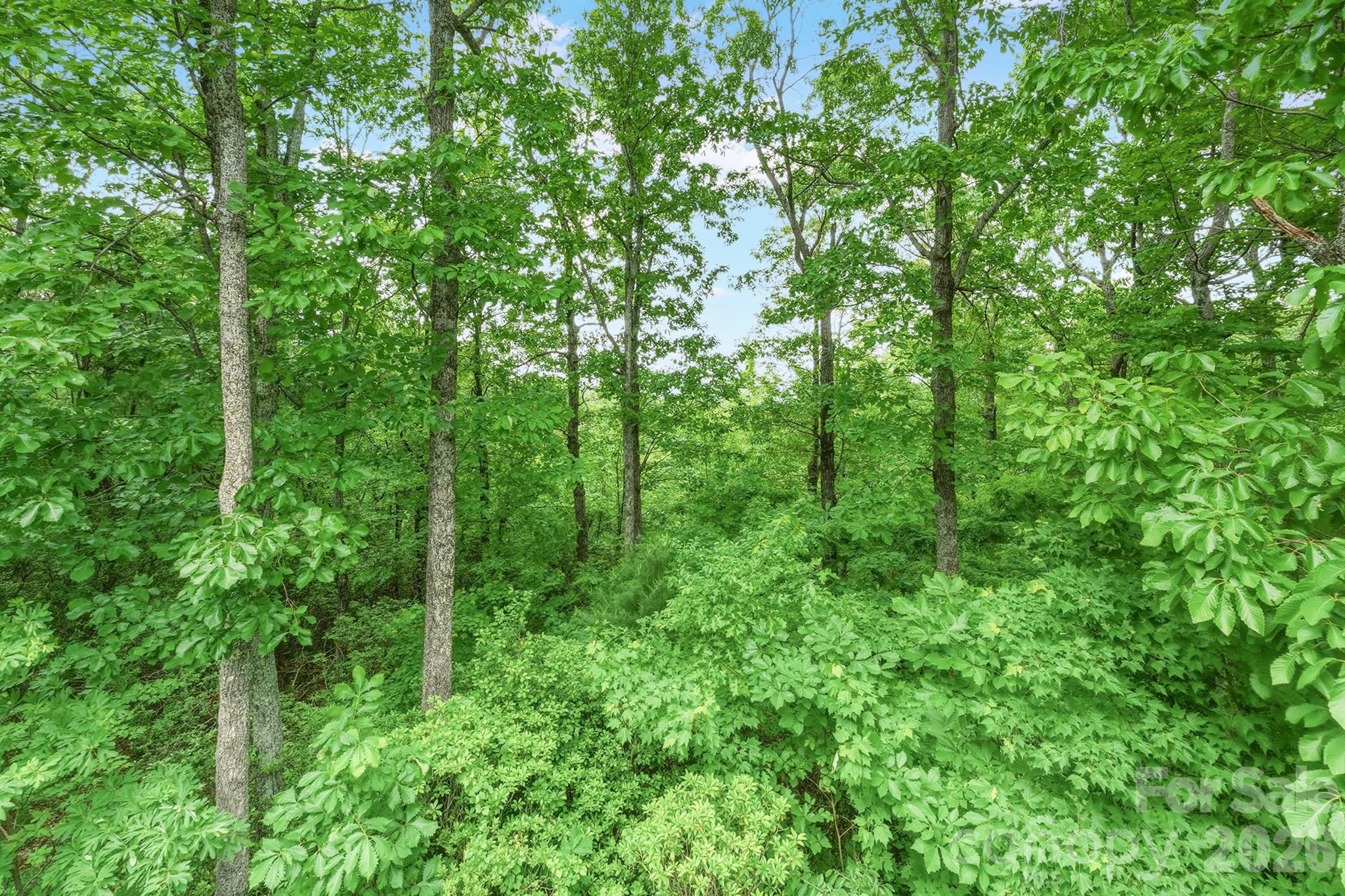 Pine Mountain Lakes - Residential