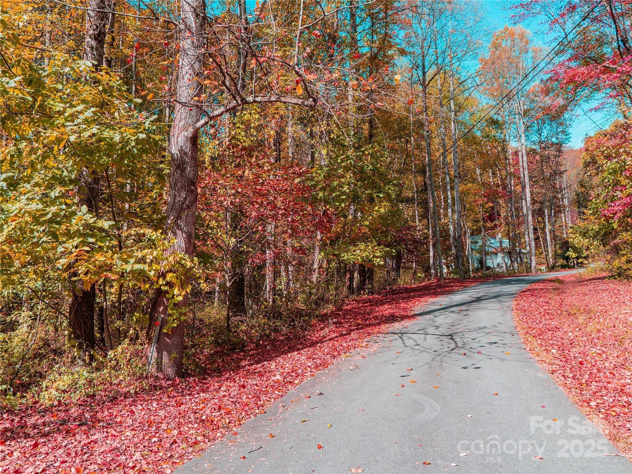 9999 Lovebird Lane 20,19,17,23