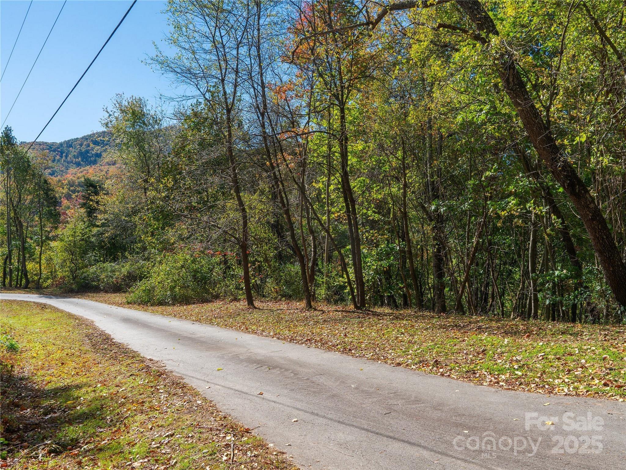 9999 Lovebird Lane 20,19,17,23