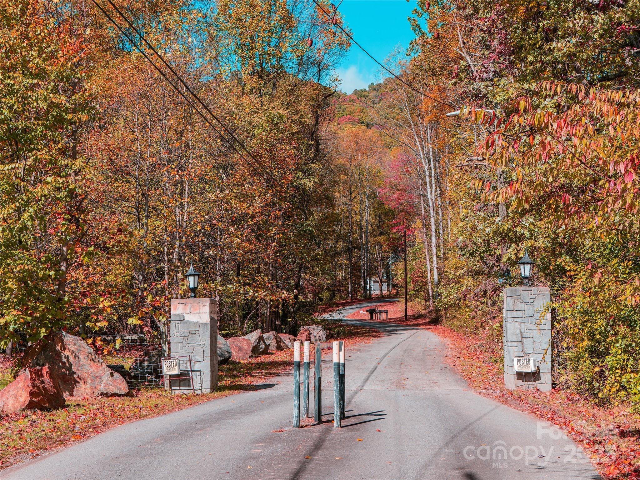 9999 Lovebird Lane 20,19,17,23