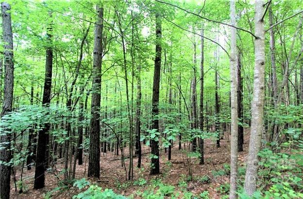 Deer Run at Lake Lure - Land