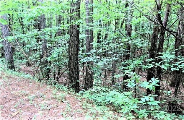 Deer Run at Lake Lure - Land