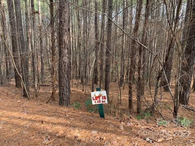 16 Chasewood Drive 16