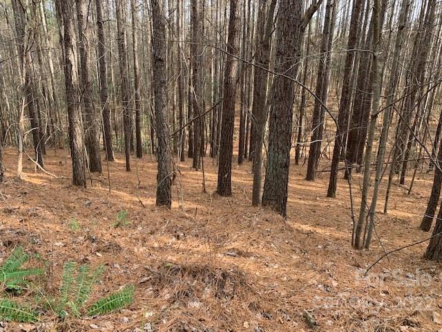 Deer Run at Lake Lure - Land