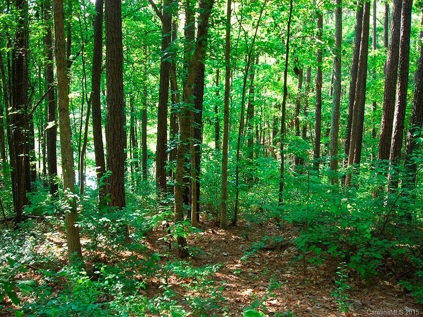 Mariners Bluff - Land