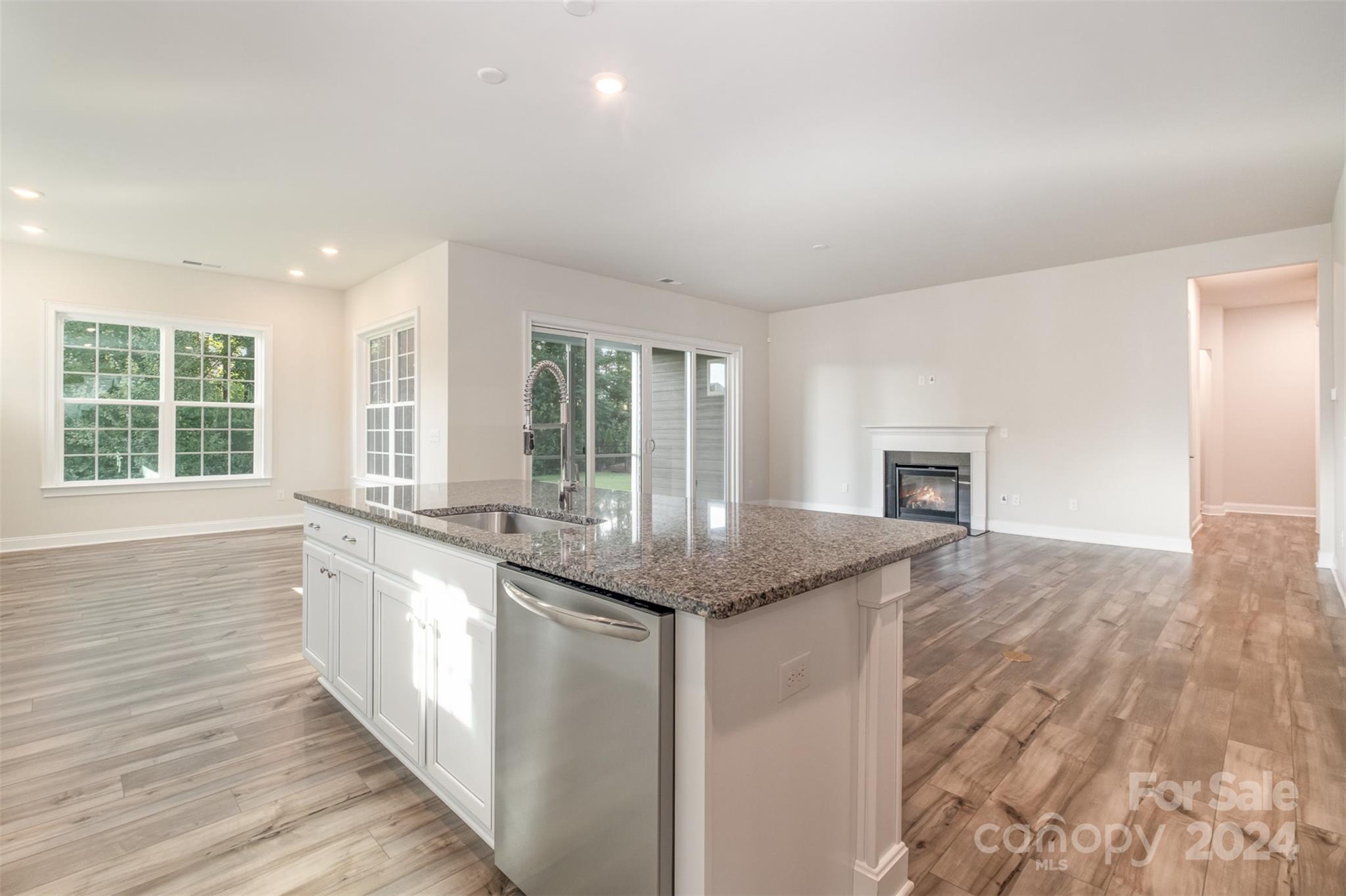 Imagery on Mtn Island - Residential