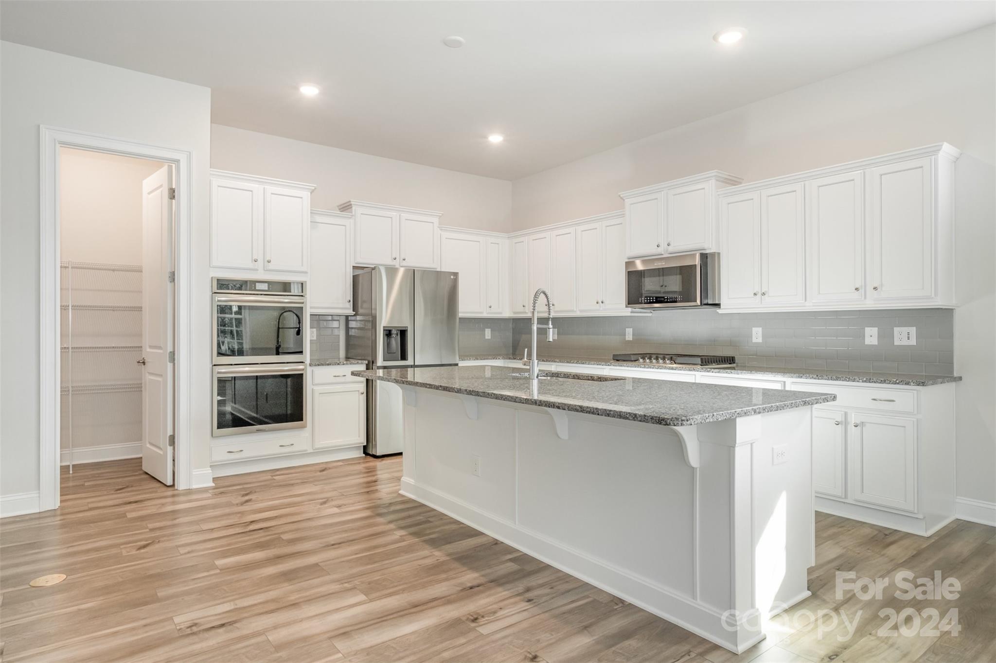 Imagery on Mtn Island - Residential