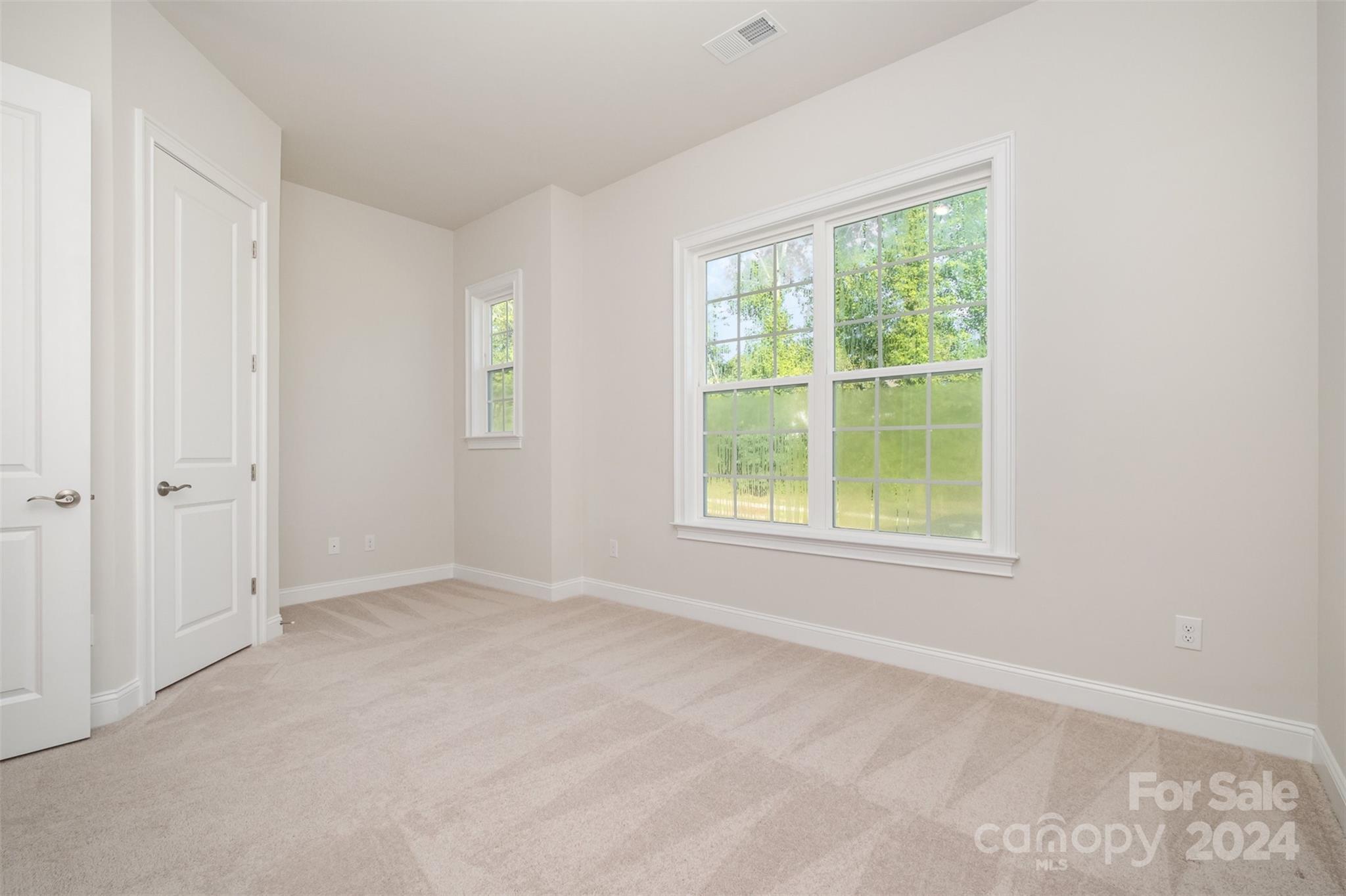 Imagery on Mtn Island - Residential