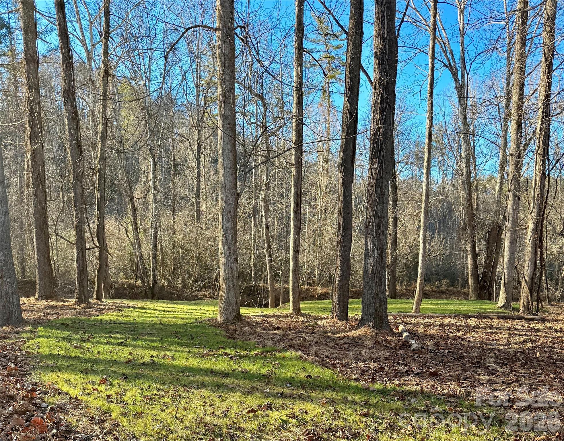 The Coves Mountain River Club - Land