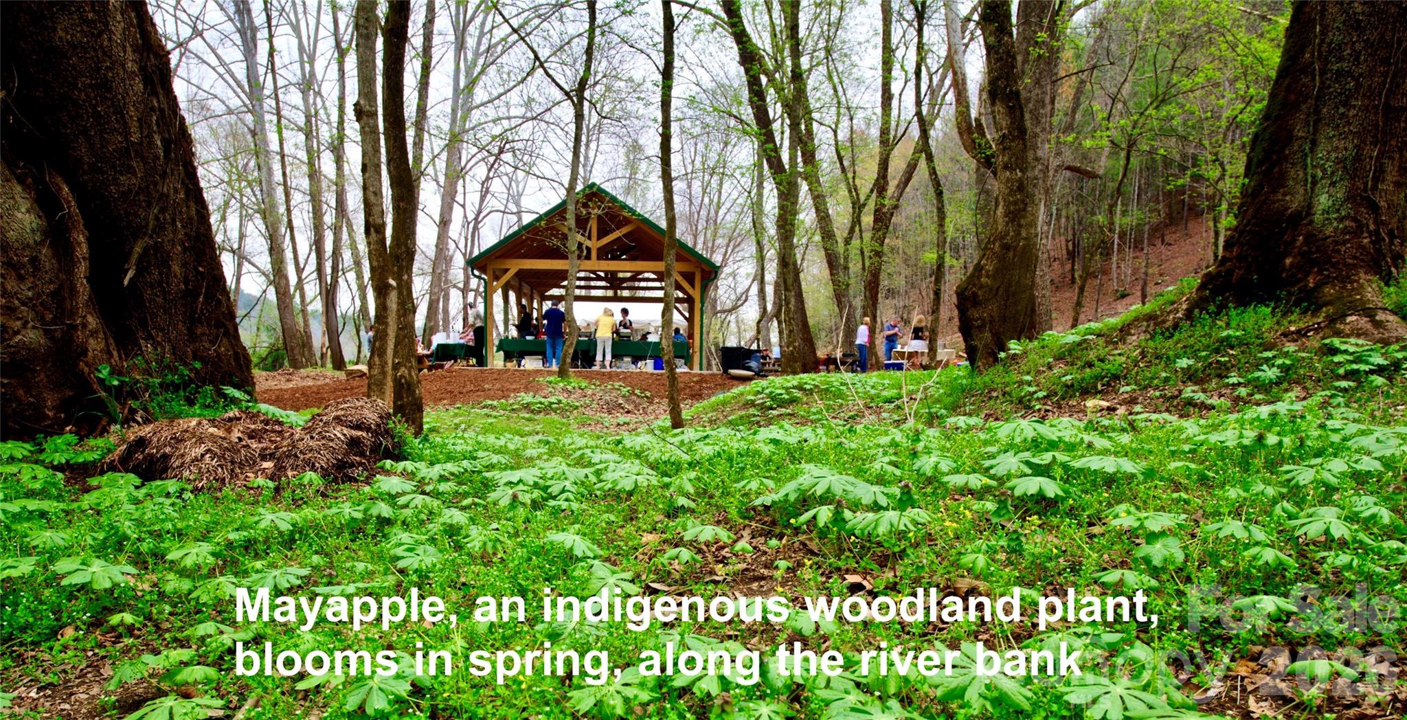 The Coves Mountain River Club - Land