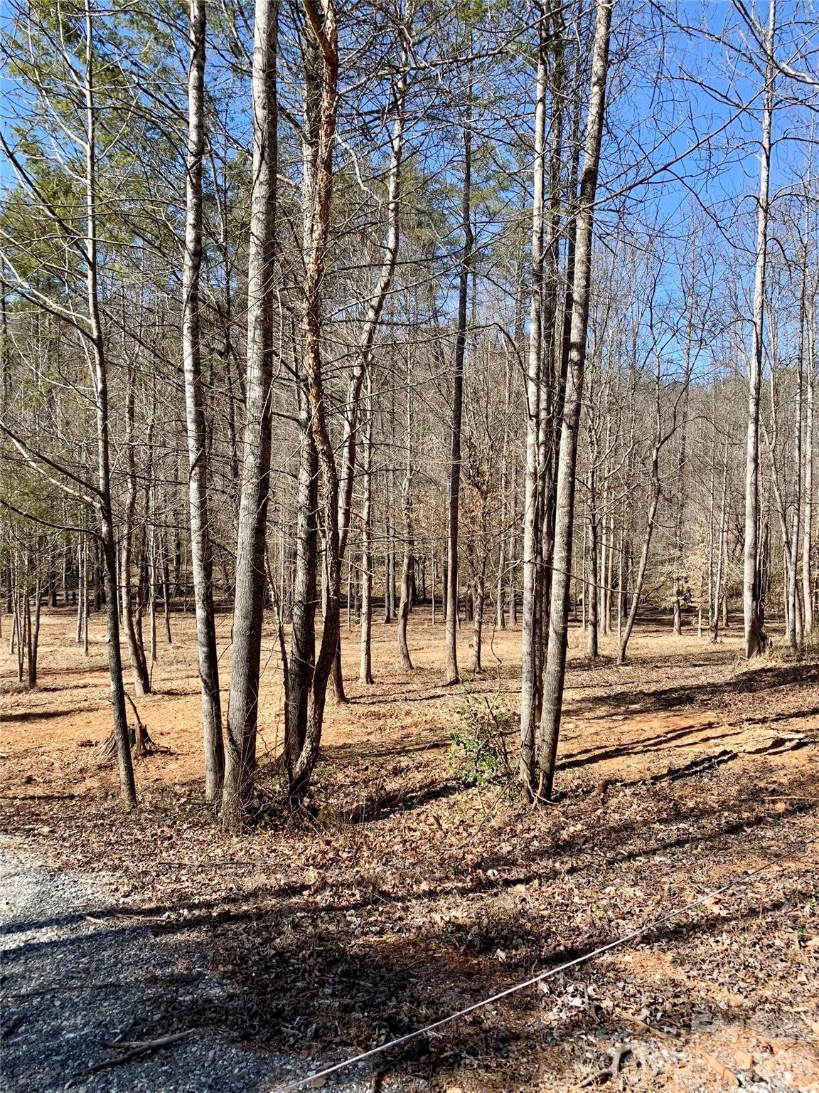 The Coves Mountain River Club - Land