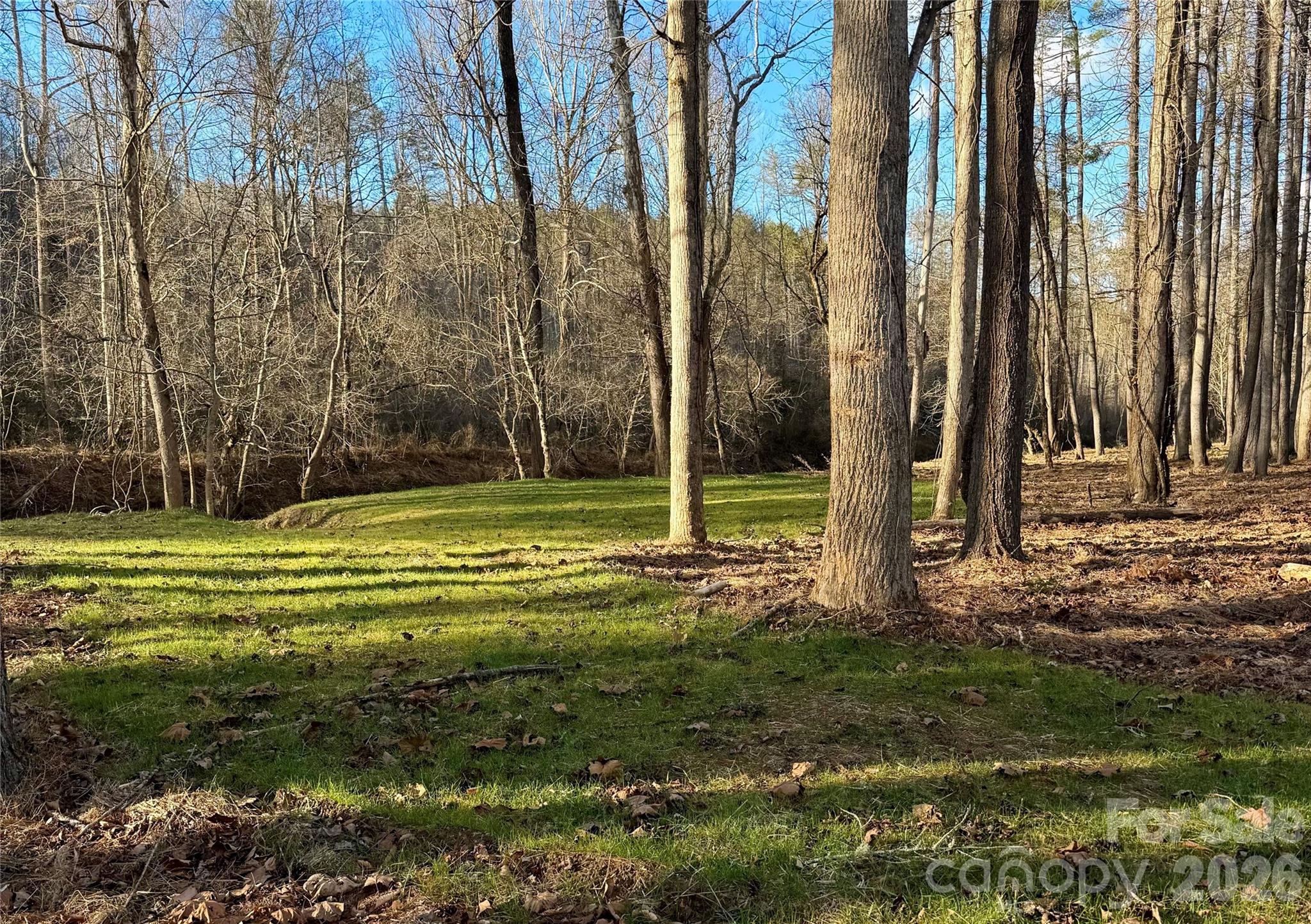 The Coves Mountain River Club - Land