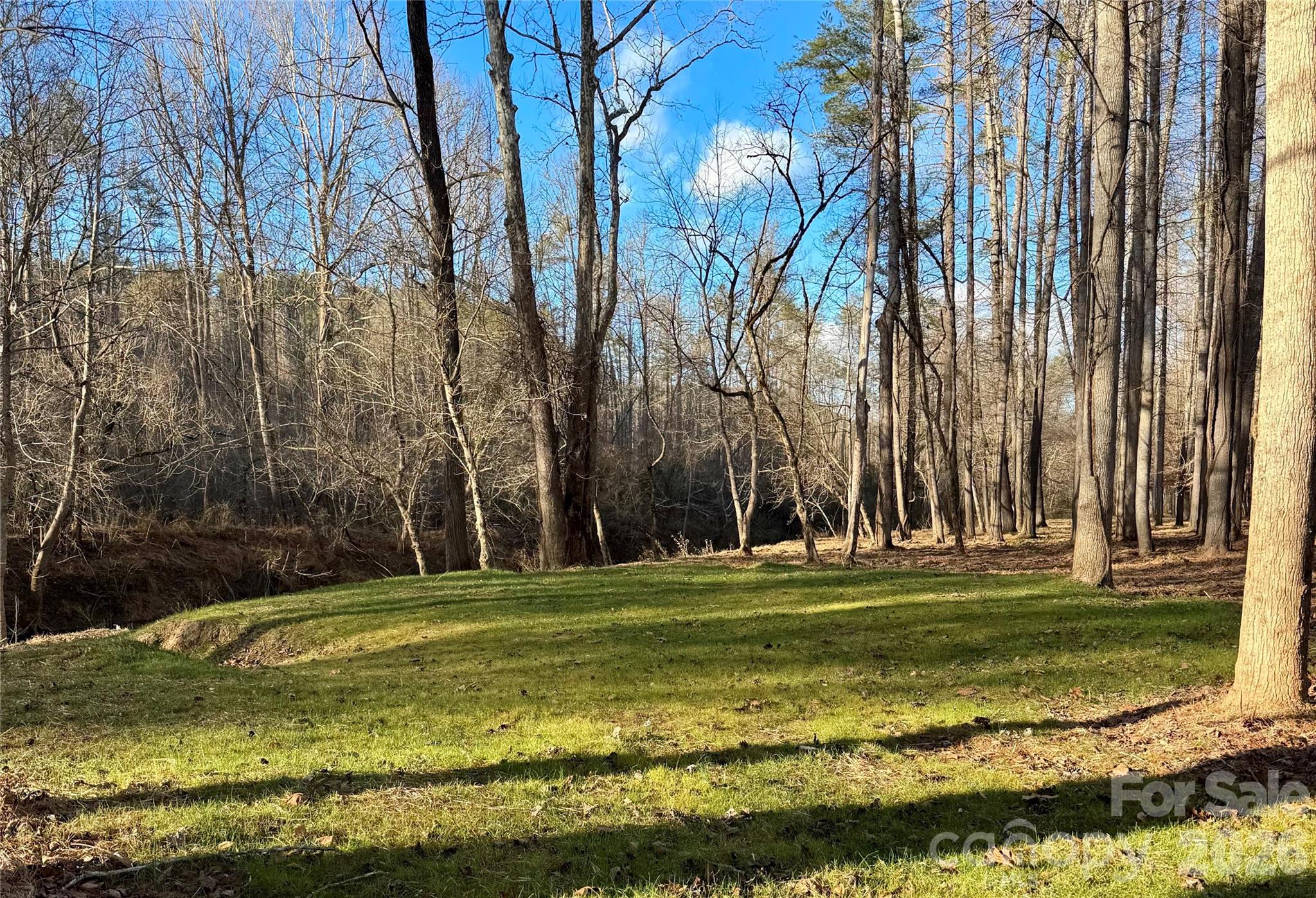 The Coves Mountain River Club - Land