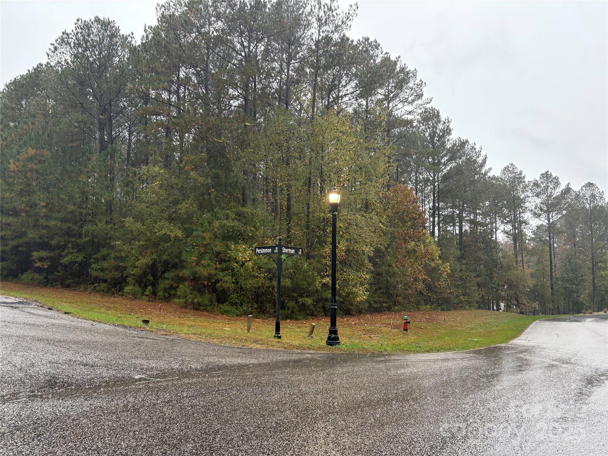 Riverchase Estates - Land