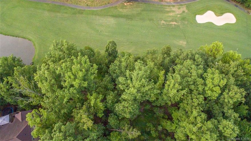 Come build your dream home in desirable Lake Shore. Cul de sac street. Golf view. Basement lot. Live the Tega Cay vacation lifestyle that includes club house, golf & tennis courts, playgrounds, trails and lake. Please visit the City of Tega Cay website for information on building in Tega Cay.http://www.tegacaysc.org/478/Development-Services