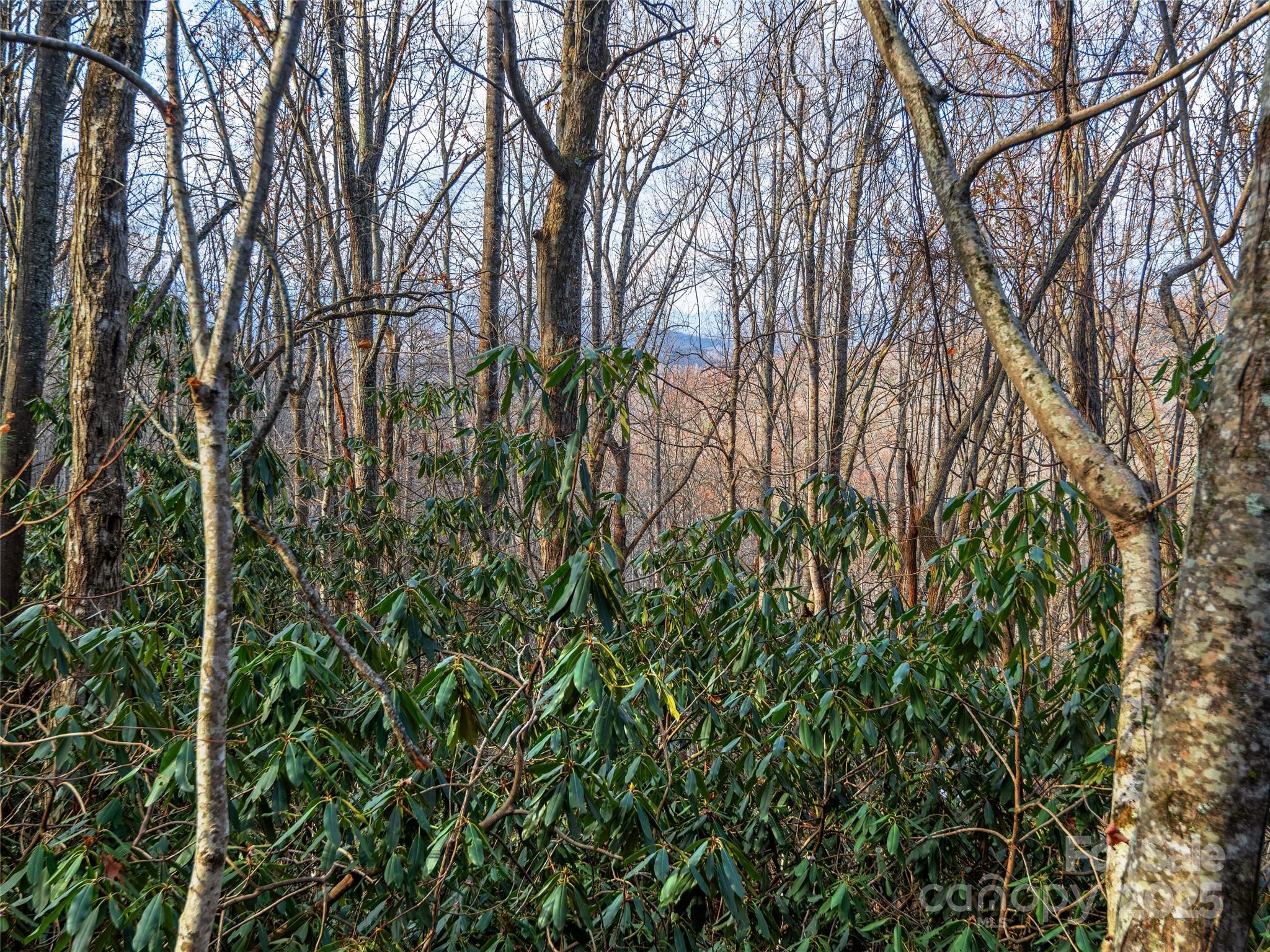 000 Indian Cave Park Road