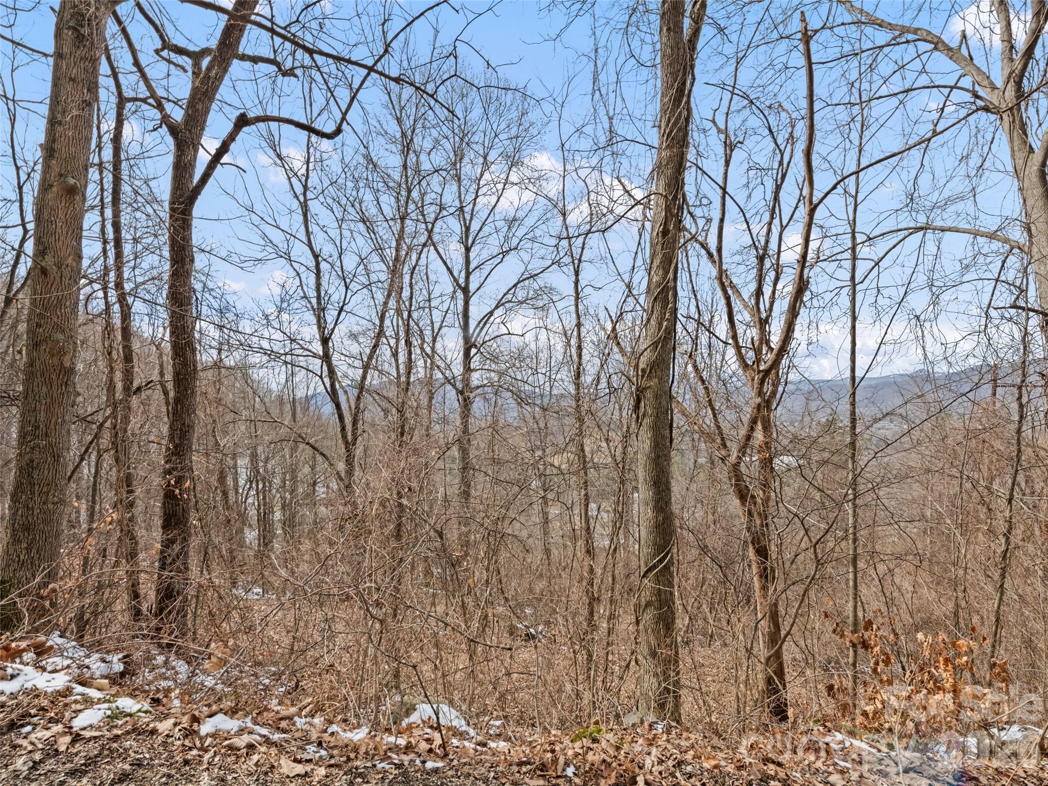 Viewpoint Mountain Estates - Land