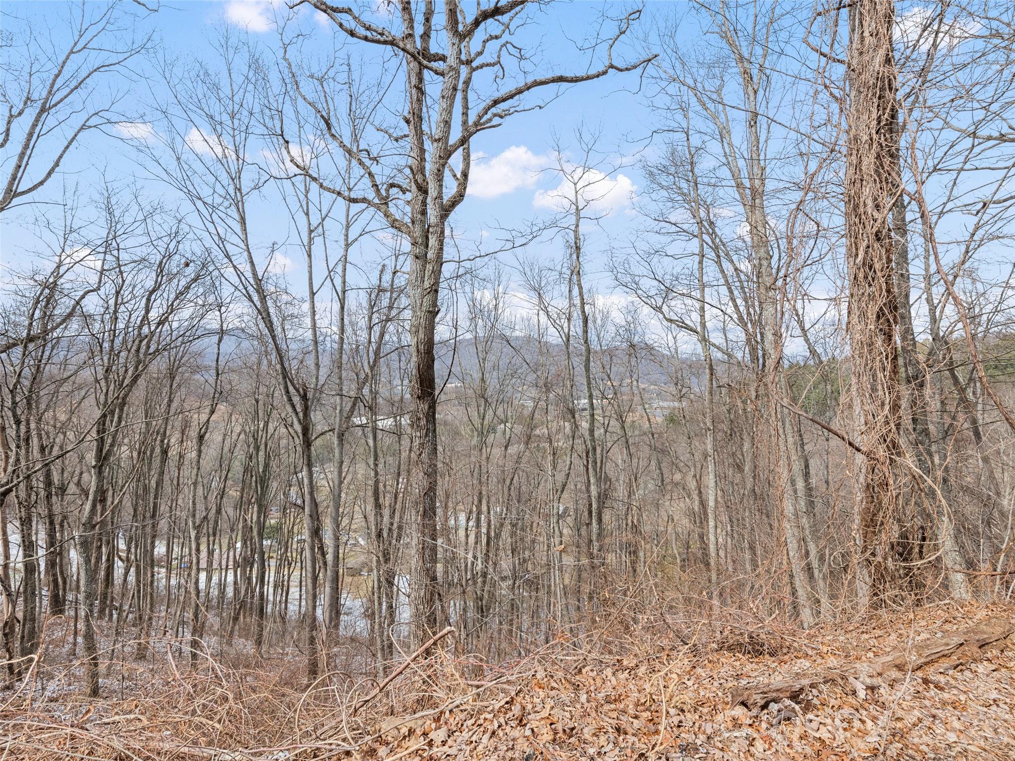 Lot #8 Viewpoint Mountain