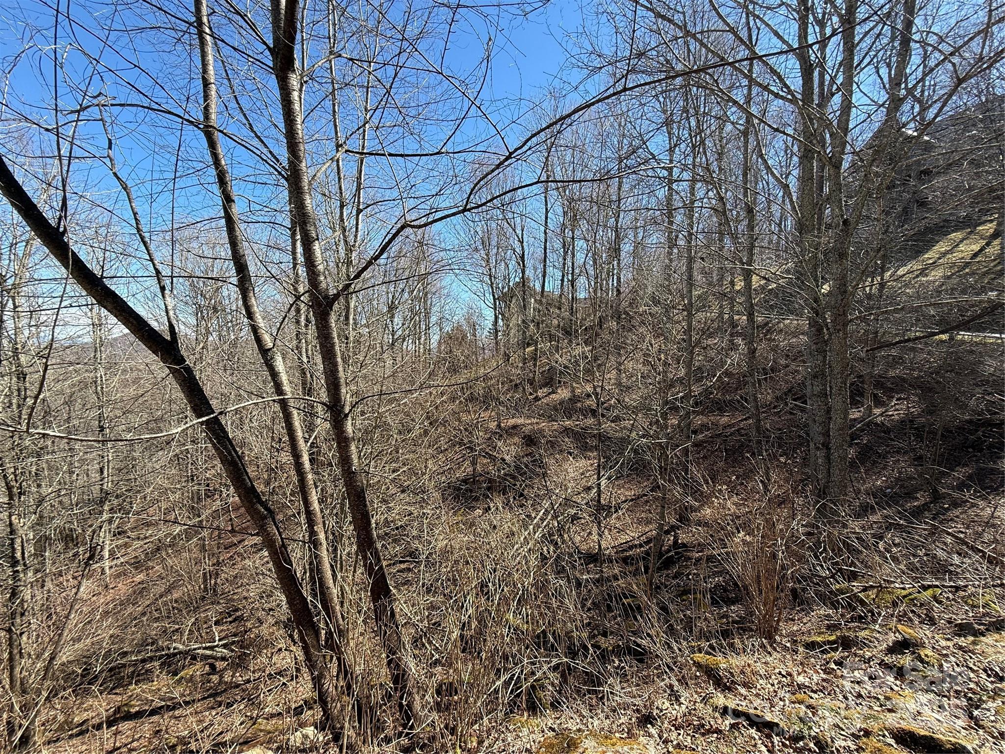 000 Running Cedar Lane 31