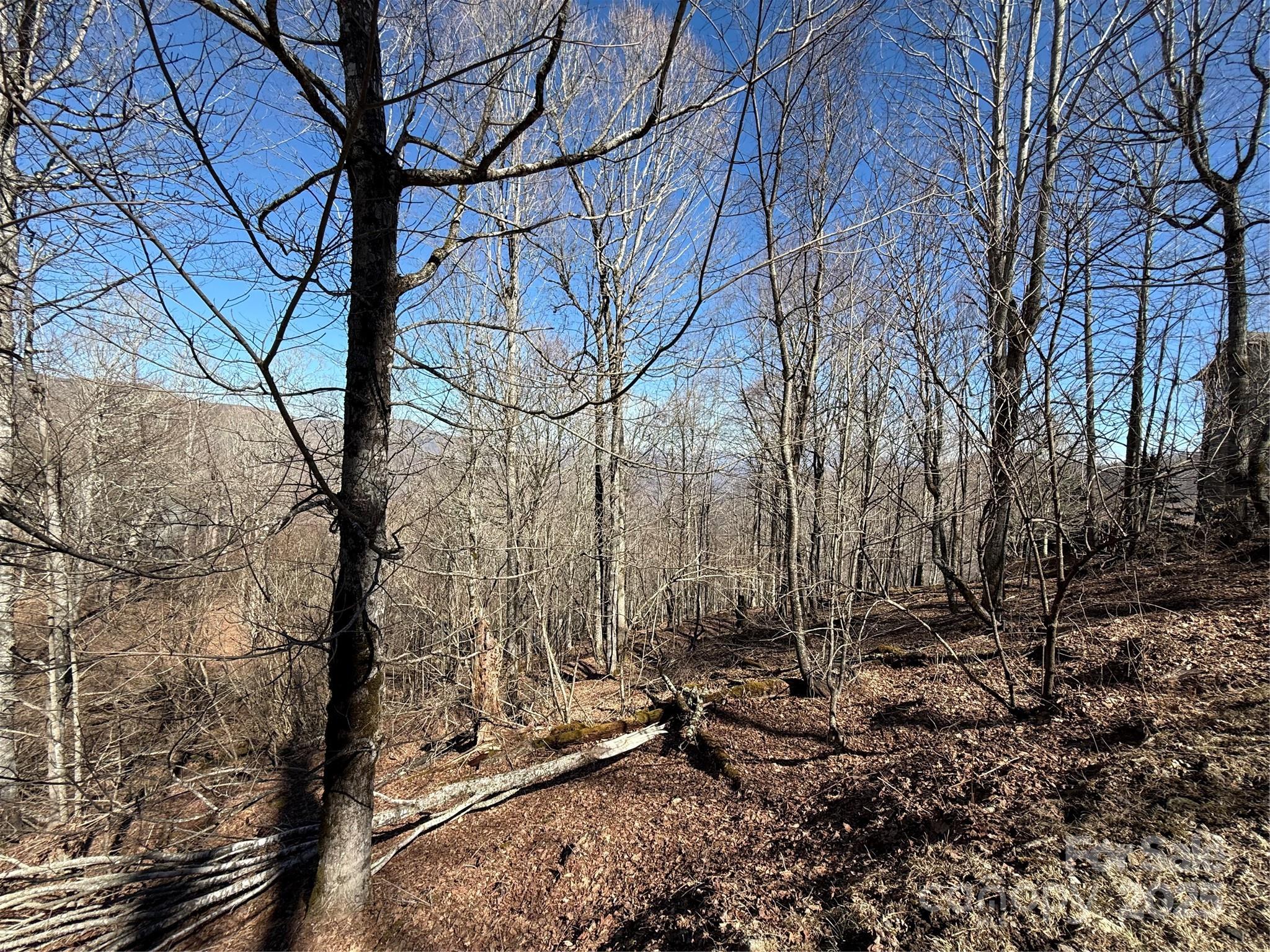 000 Running Cedar Lane 31