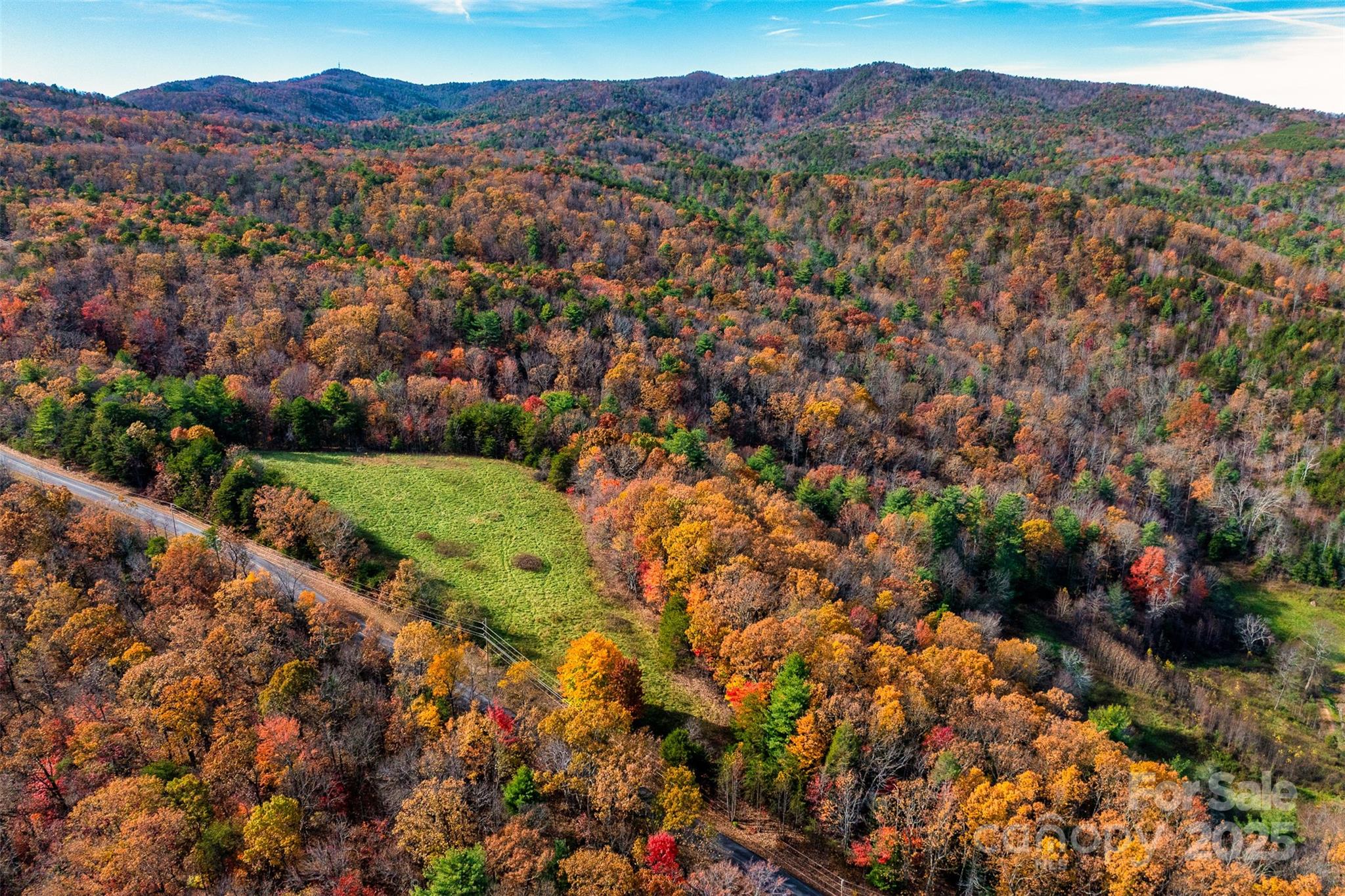 2909 Pine Mountain Drive