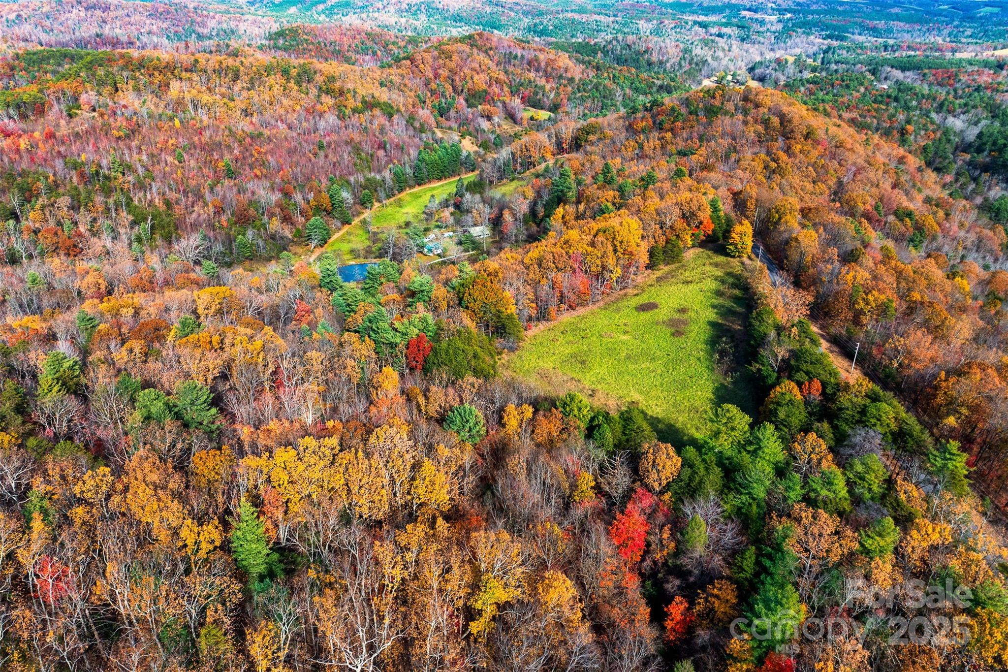 2909 Pine Mountain Drive