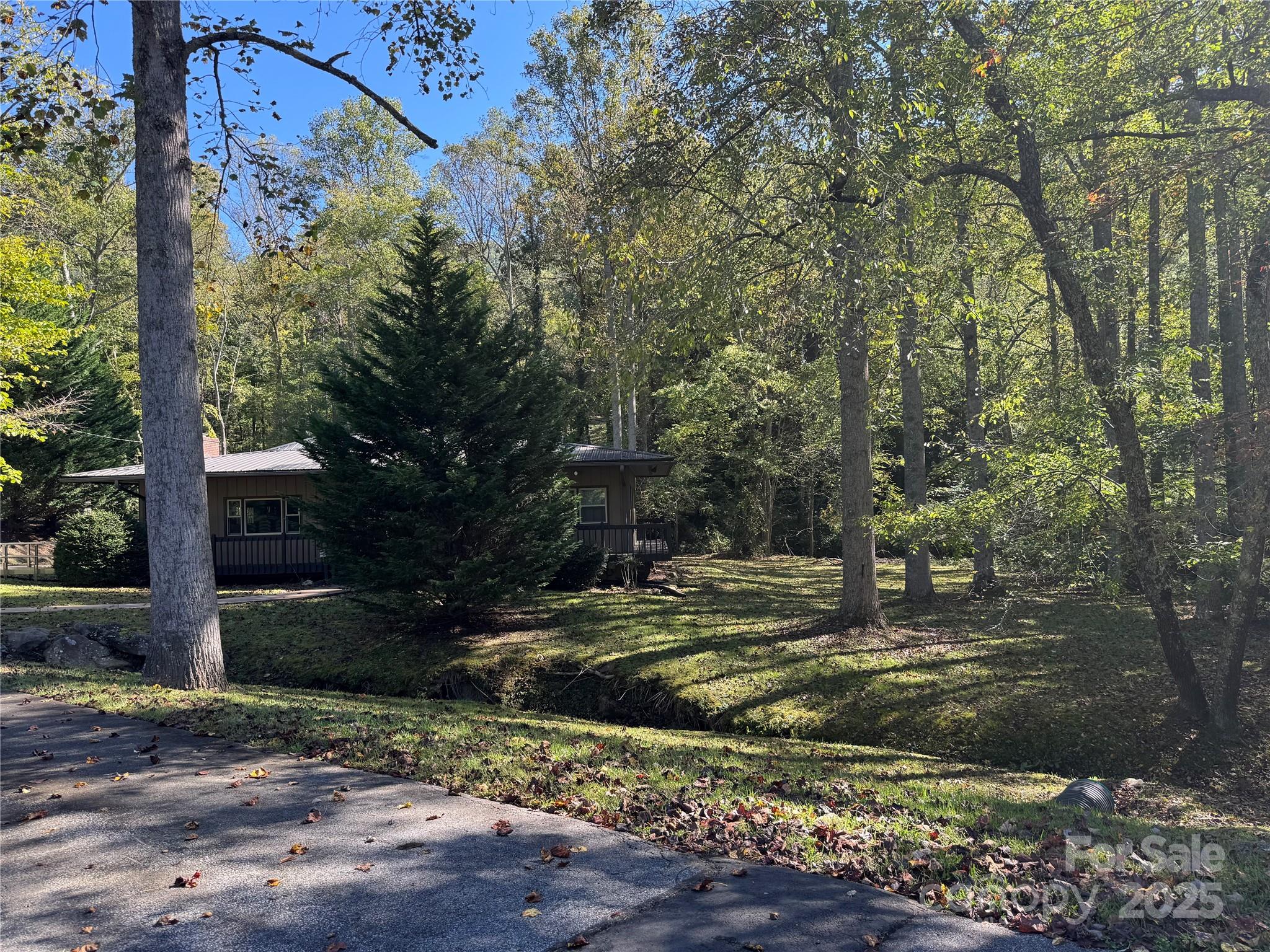 Fairview Forest - Land