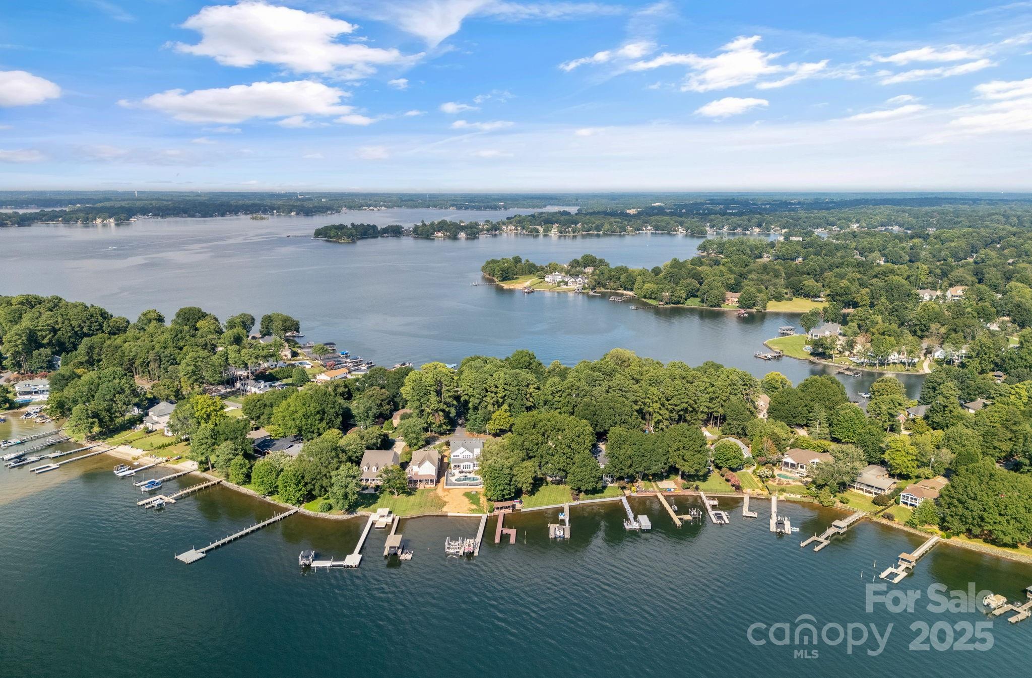 Island Forest - Residential