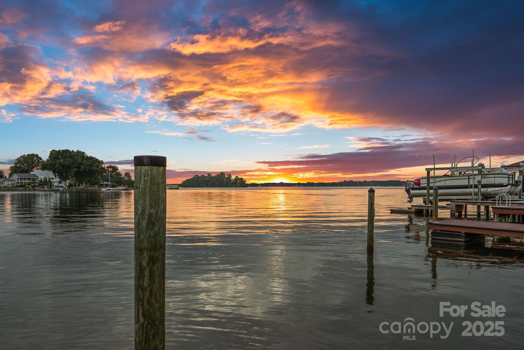 Island Forest - Residential