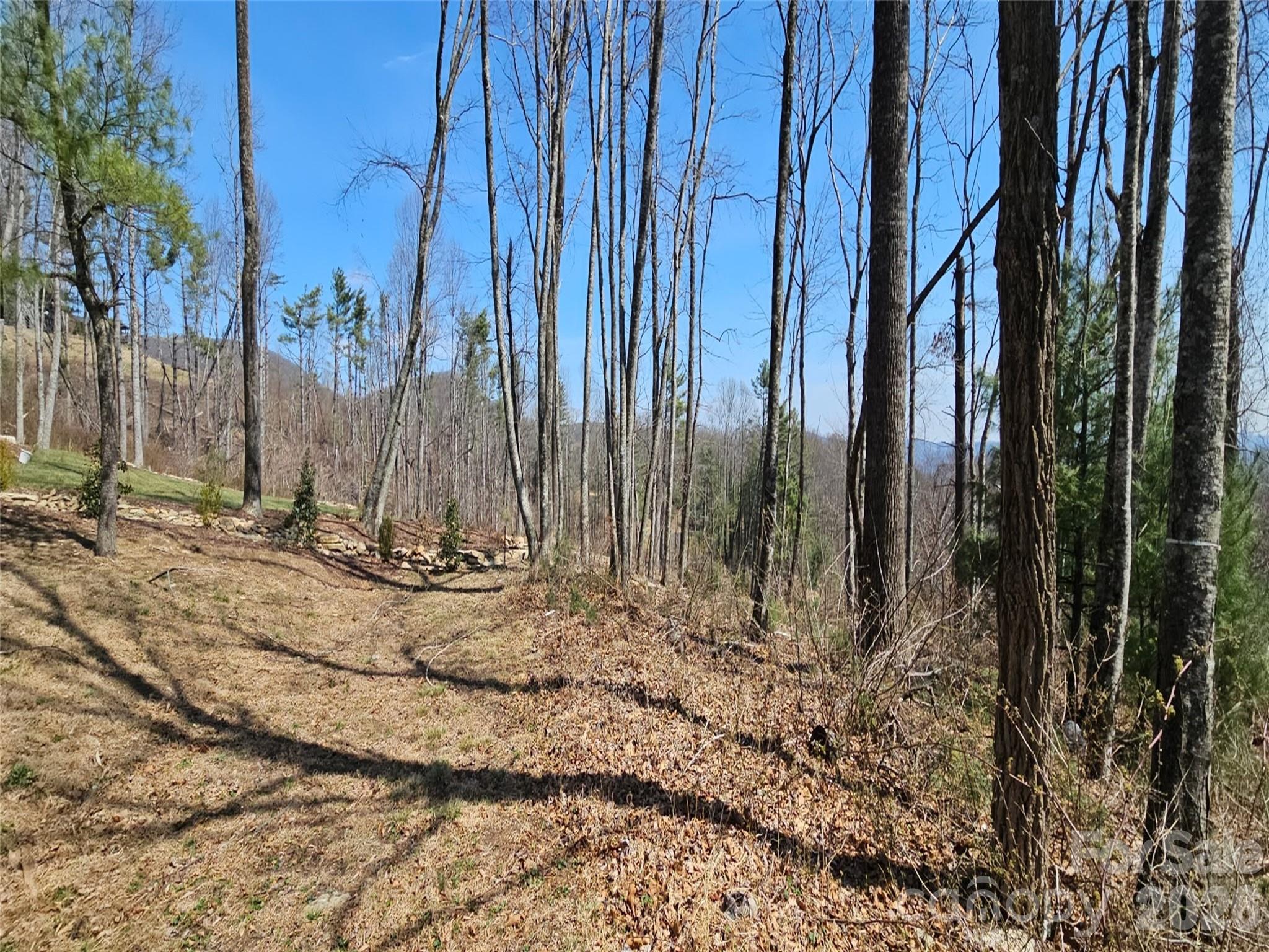 189 Dancing Bear Drive