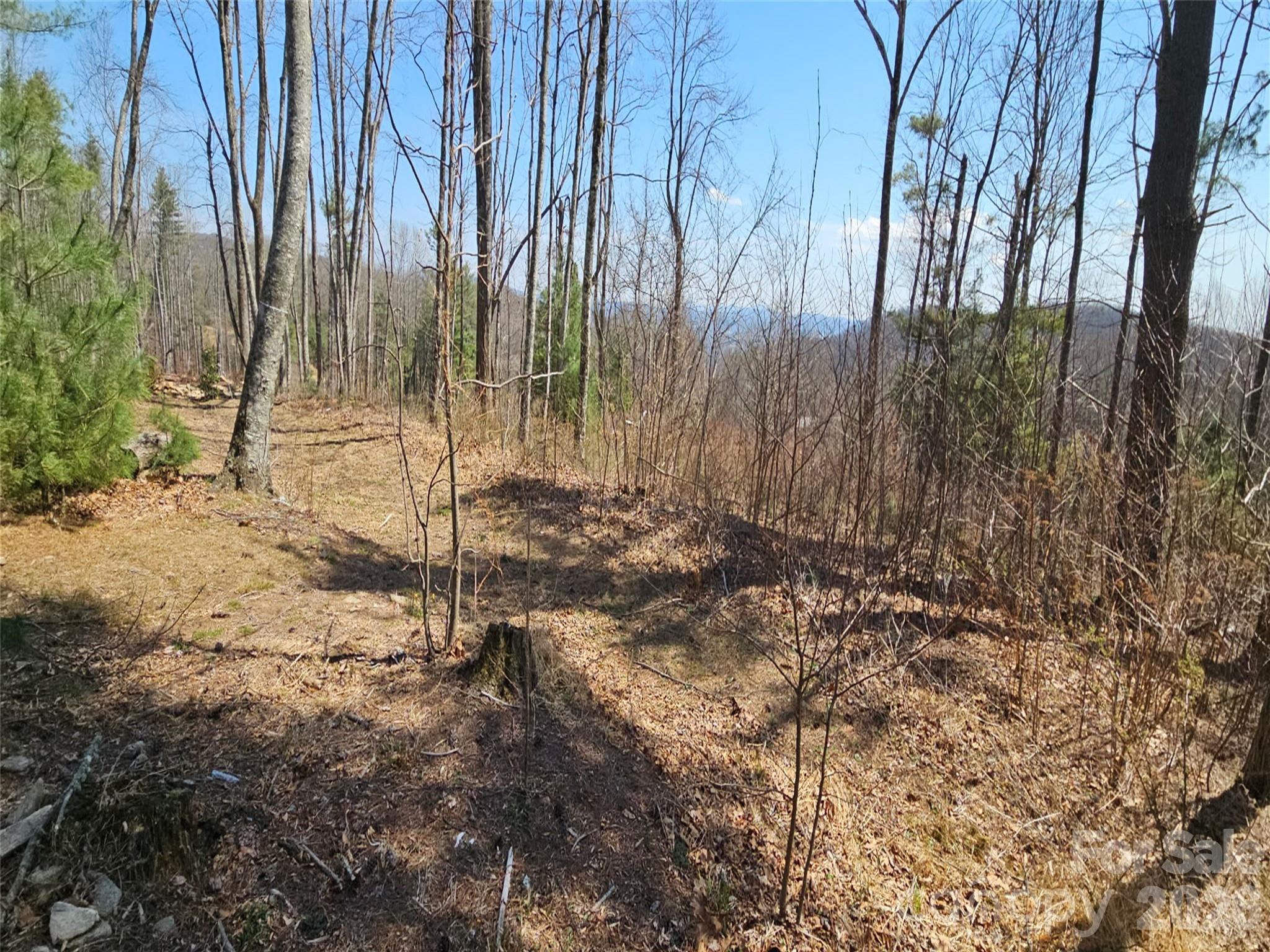 Grand Highlands at Bearwallow - Land