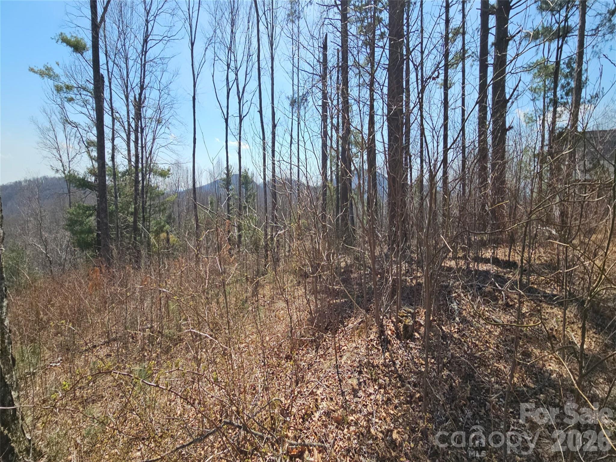 189 Dancing Bear Drive