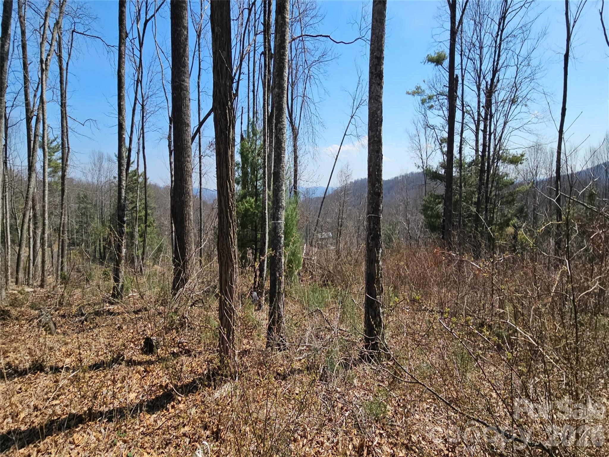 189 Dancing Bear Drive