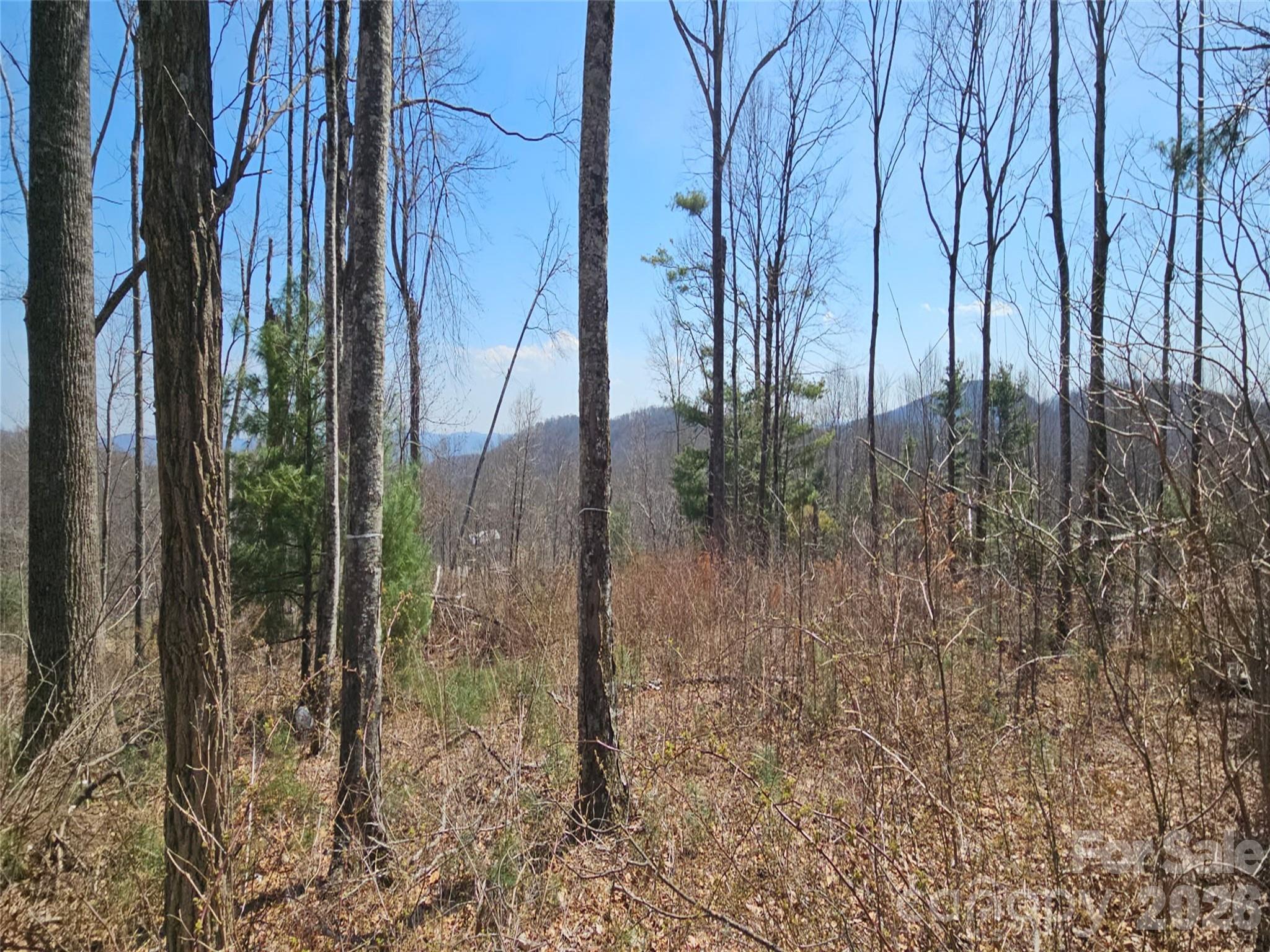 189 Dancing Bear Drive