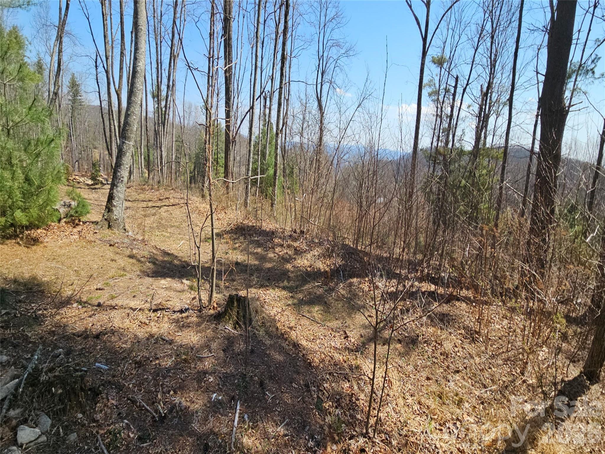 Grand Highlands at Bearwallow - Land