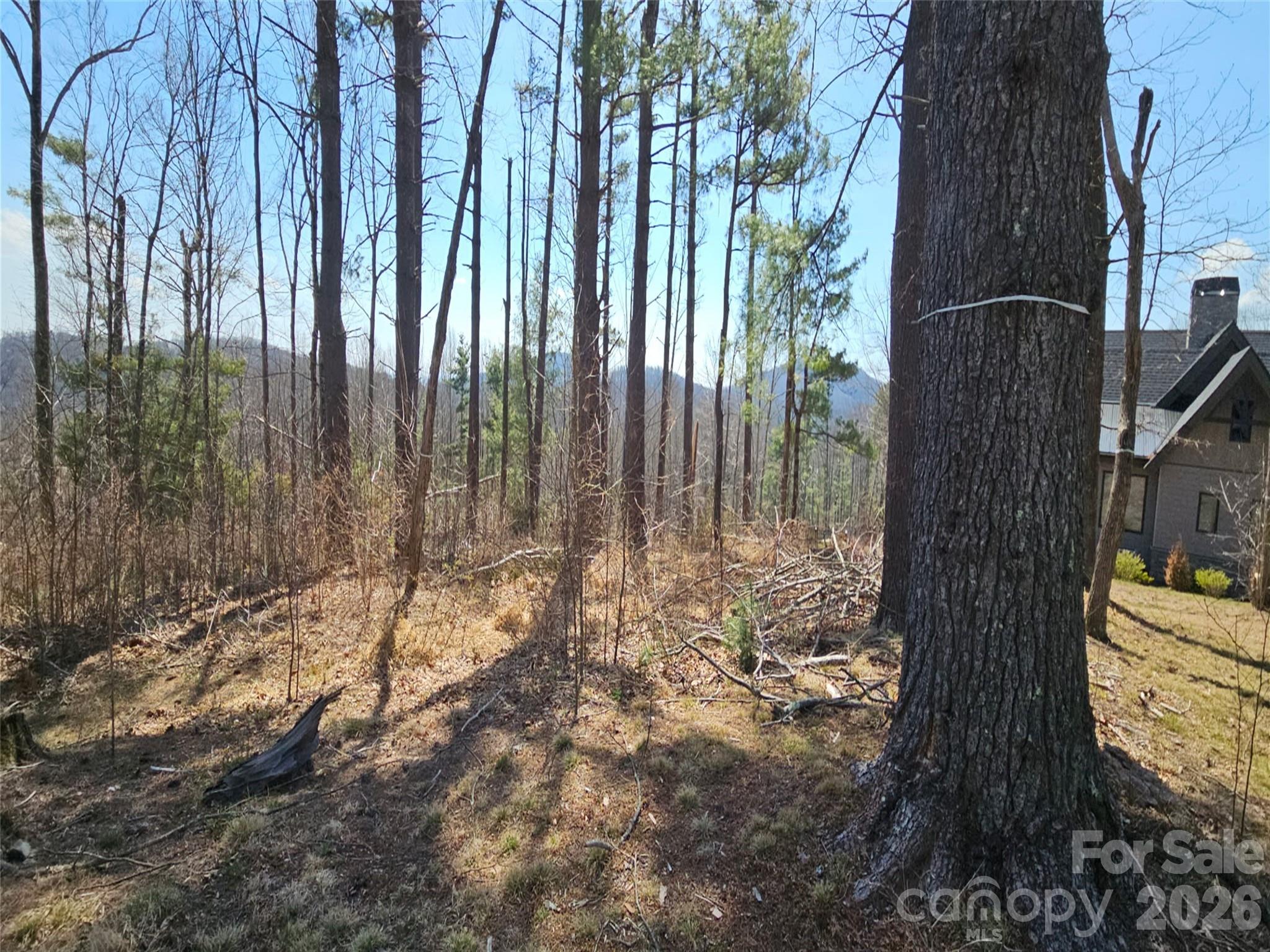 Grand Highlands at Bearwallow - Land