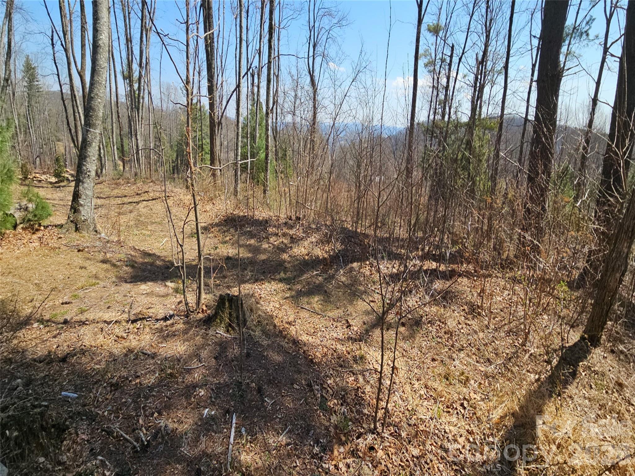 Grand Highlands at Bearwallow - Land