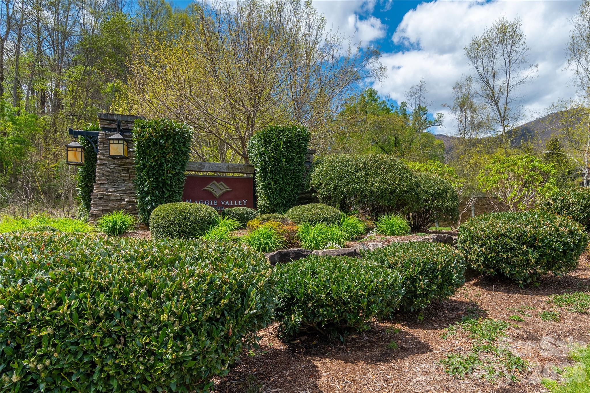 Mountain View Estates - Land