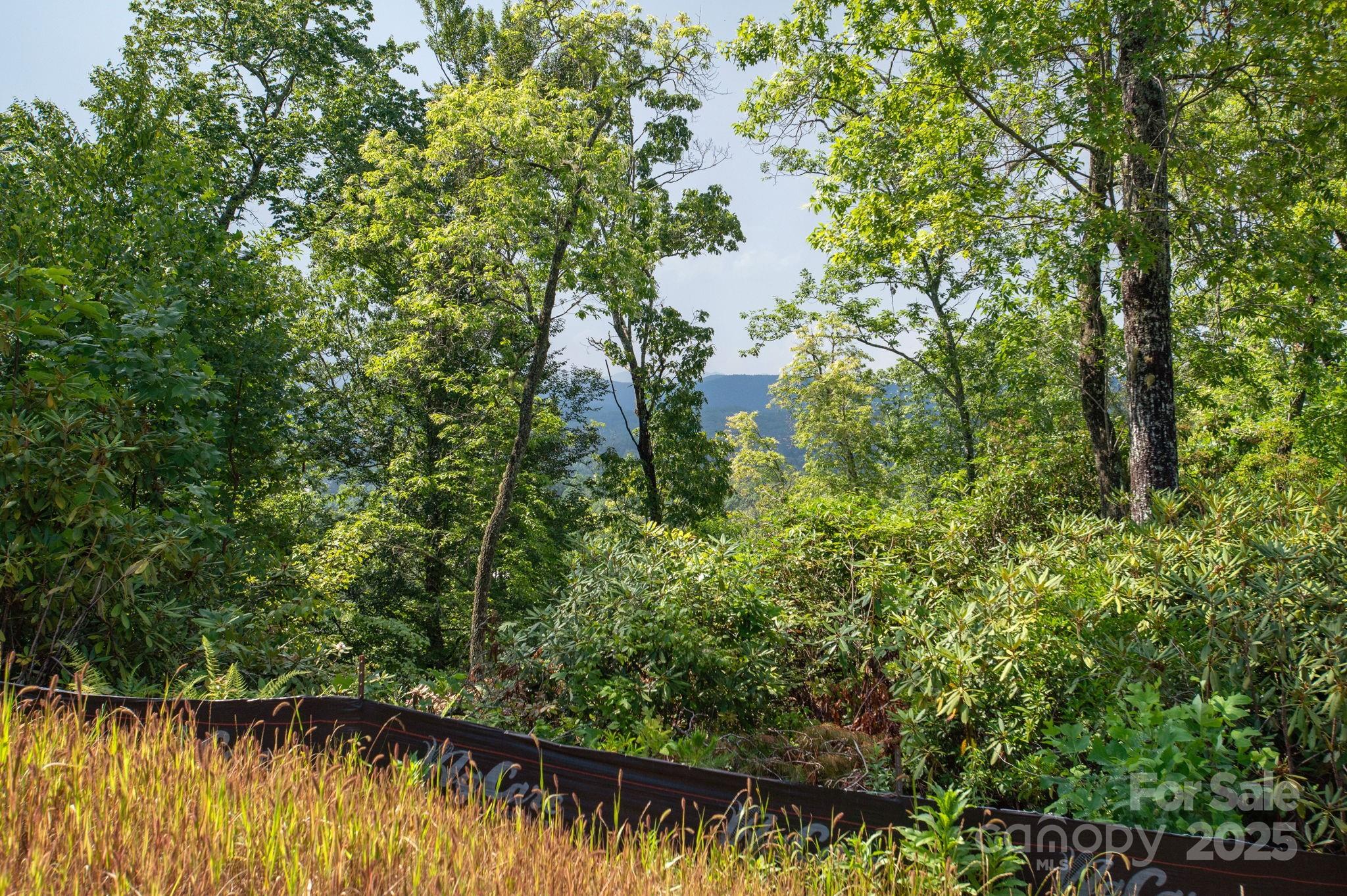 Lot # 7 Masterpiece View Drive